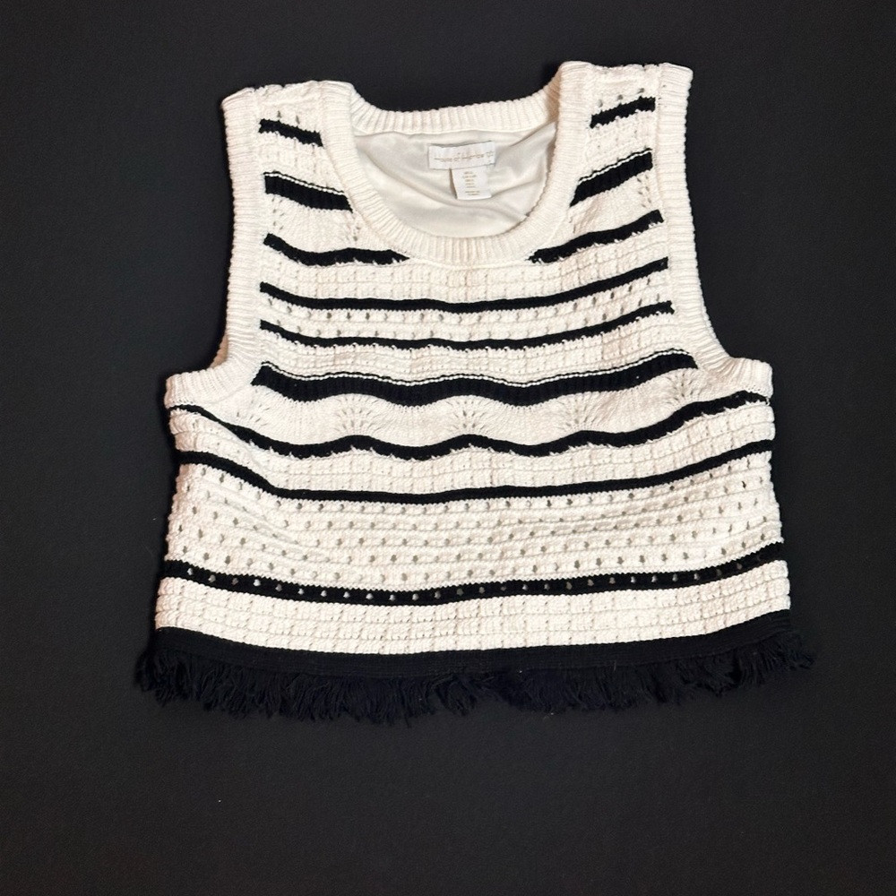 Black and White Striped Sleeveless Two Piece Sweater Set - Picture 3 of 3